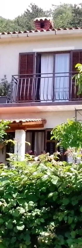 维斯塔公寓，位于Lupoglav的酒店
