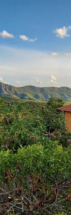 Bangalô Sol e Lua - ao lado da portaria do Parque Nacional，位于圣若热岛的酒店