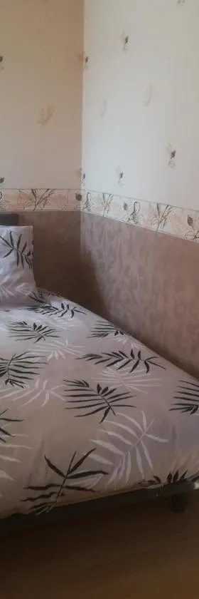 Chambre double avec WiFi châtellerault，位于沙泰勒罗的酒店
