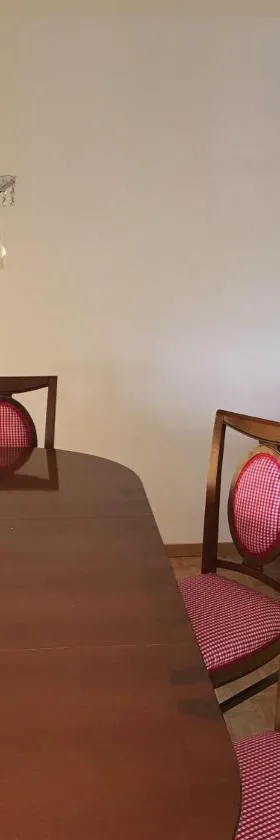 Bijou Appartment，位于Zollikofen的酒店