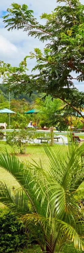 Andasibe Lemurs Lodge，位于Andasibe的酒店