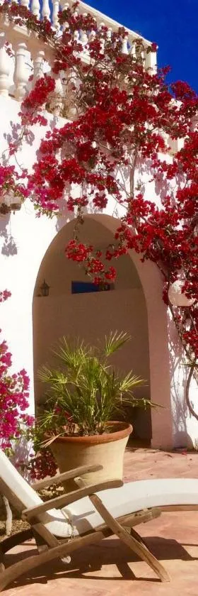 Maison d'Hote Domaine El-Manar，位于杰尔吉斯的酒店