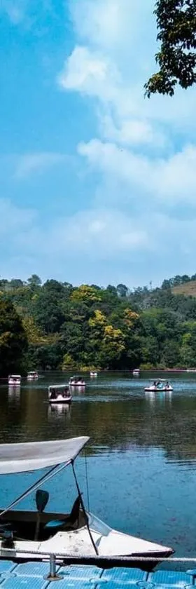 Wayanad Snow Vibes，位于维特利的酒店