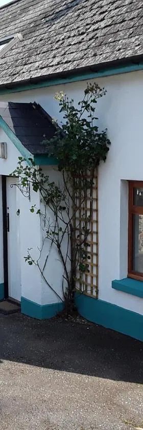 Rose Bush House，位于Arboe的酒店