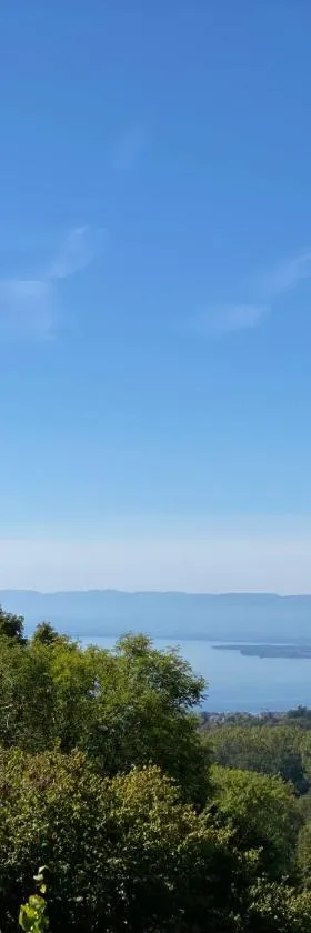 Petite maison à l'orée des bois vue magnifique sur le lac zenitude et plénitude，位于贝尔蒙叙尔洛桑的酒店