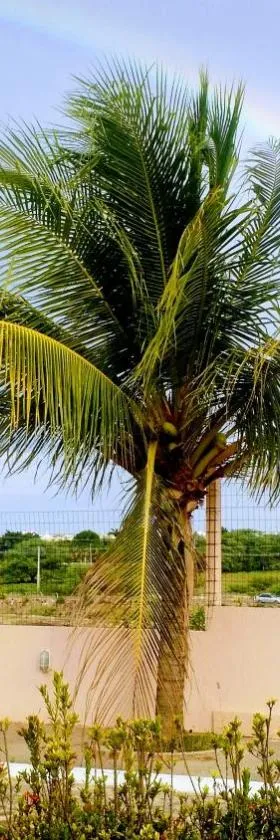 Anexo da casa de Campo - 2/4 com piscina，位于彼得罗利纳的酒店