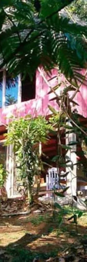 Vanilla Jungle Lodge - Rainforest Waterfall Garden，位于Puerto Viejo的酒店