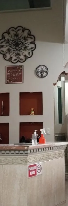 Hostal EL CALLEJÓN，位于伊瓦拉的酒店