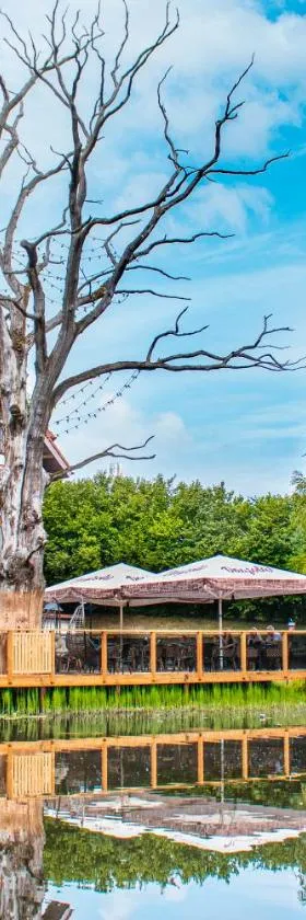 Radailiu Dvaras - Dinosaur Park，位于Radailiai的酒店