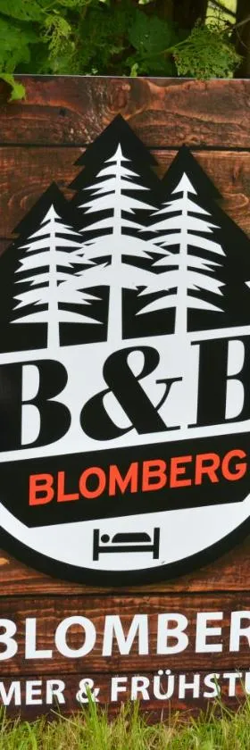 BnB-Blomberg，位于Ebnat的酒店
