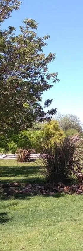 El Paraiso de Carmen de Areco，位于阿雷科河畔卡门的酒店