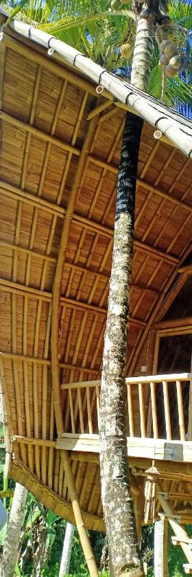 Jero Tumbuk Private Villa，位于Selat的酒店