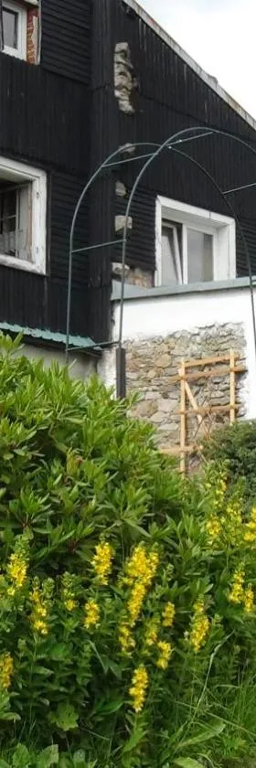 Apartmany Nemo，位于上布拉特纳的酒店