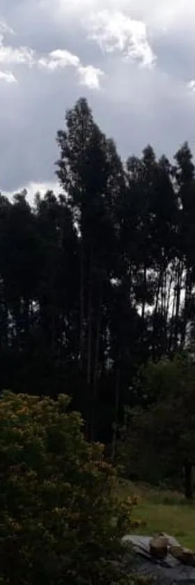 Cabaña El Mirador M&G，位于La Capilla的酒店