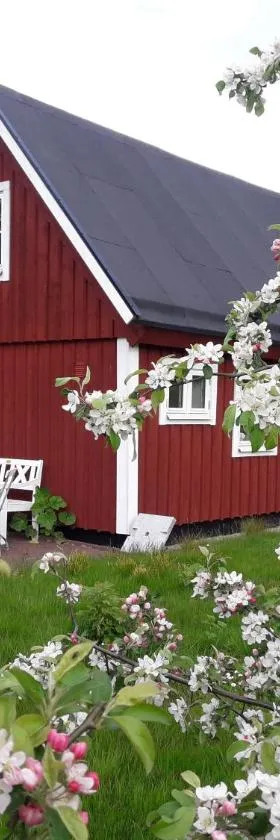 Brösarp Källagården Vedboden，位于布勒萨普的酒店