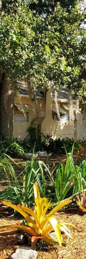 1 Beige Cozy Bungalow or 1 White Cozy Efficiency Cottage in Titusville，位于泰特斯维尔的酒店