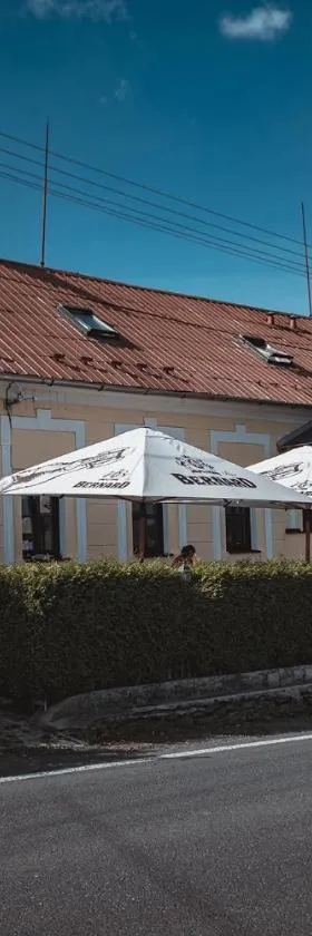 Penzion U Dračí skaly，位于Svojše的酒店