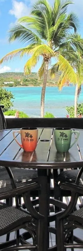 Your Perfect Beachfront Condo in Paradise - Sapphire Beach，位于拿撒勒的酒店