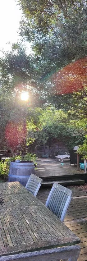 多梅因莱斯瀑布住宿加早餐旅馆，位于Ribaute的酒店