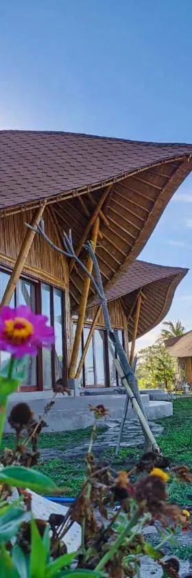 Tanoma Sumba，位于Maujawa的酒店
