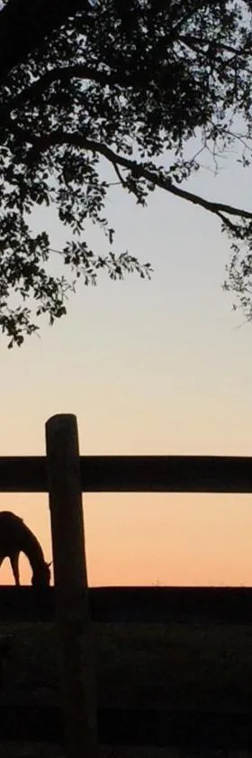 The Farmhouse Inn，位于麦迪逊的酒店