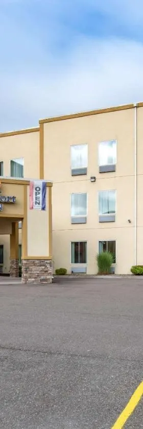 Comfort Inn Apalachin - Binghamton W Route 17，位于Apalachin的酒店