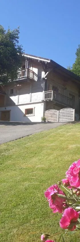 Appartement Borne，位于圣让多尔普的酒店