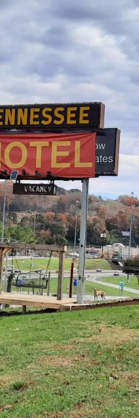 Tennessee Motel，位于Caryville的酒店