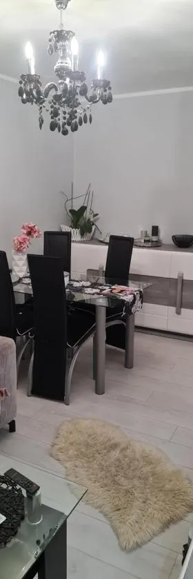 Apartament przy Kopalni Złota，位于兹沃蒂斯托克的酒店