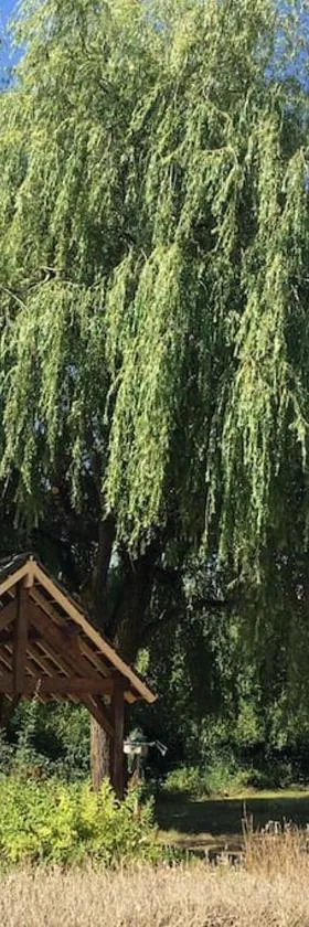 Charmant T2 au 1er dans résidence avec parc arboré，位于圣皮埃尔－勒穆捷的酒店