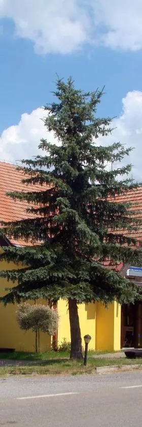 Restaurace penzion Rafael，位于Dlouhá Brtnice的酒店