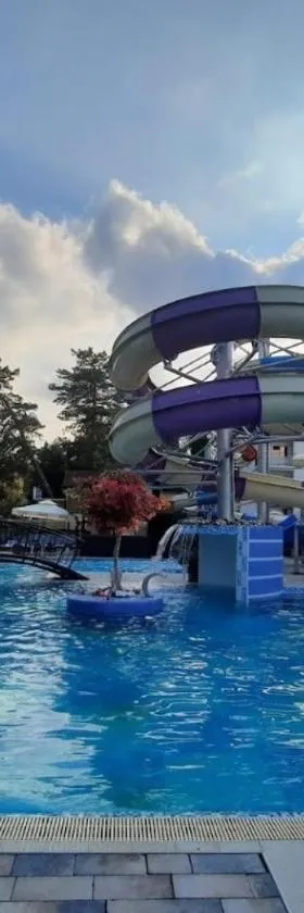 Spa Resort & Hotel Vrnjačke Terme，位于弗尔尼亚奇卡矿泉镇的酒店
