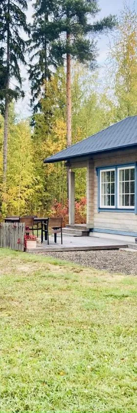 Cottage Kivitatti，位于Sysmä的酒店