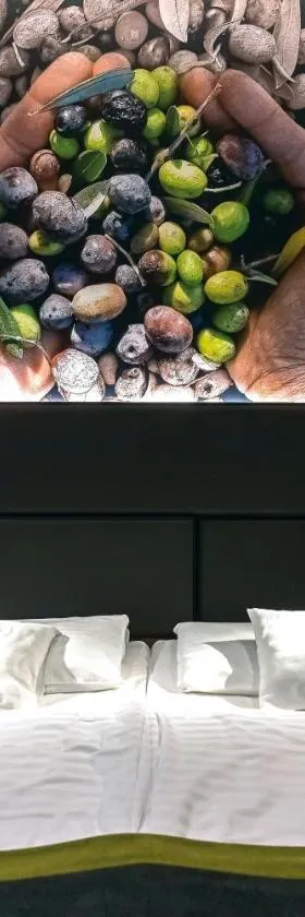 橄榄酒店，位于维斯普雷姆的酒店