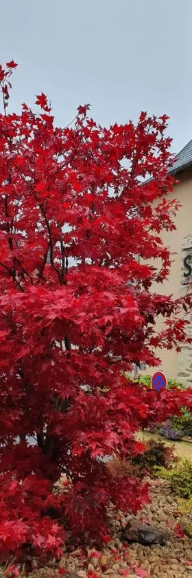 Hôtel Saint-Roch, Saint-Ybard，位于Saint-Ybard的酒店