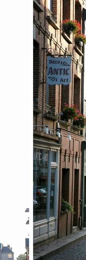 Hotel Le Dauphin，位于翁弗勒尔的酒店