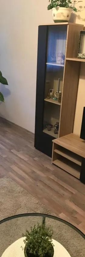Menta apartman，位于索尔诺克的酒店