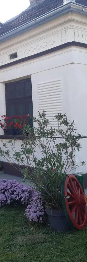 Seosko turističko domaćinstvo Stojković，位于阿莱克西纳茨的酒店
