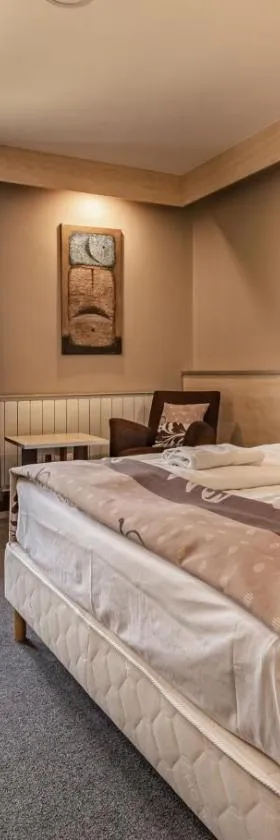 Hotel Vineyard Inn - Szőlőskert，位于瑙吉考尼饶的酒店