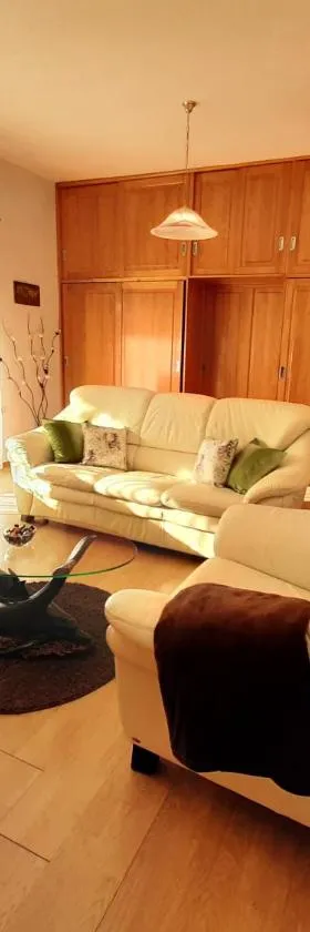 Apartment Gorska vila，位于奥古林的酒店