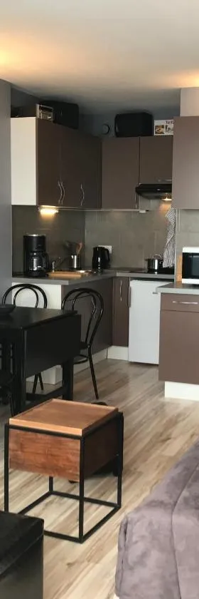 Appartement 4 personnes au pied des pistes，位于彼埃尔圣马丁的酒店