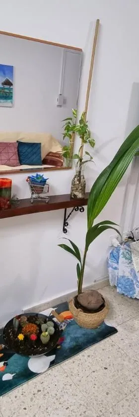 Buenaventura Cosy Apartment kato Paphos，位于Paphos的酒店