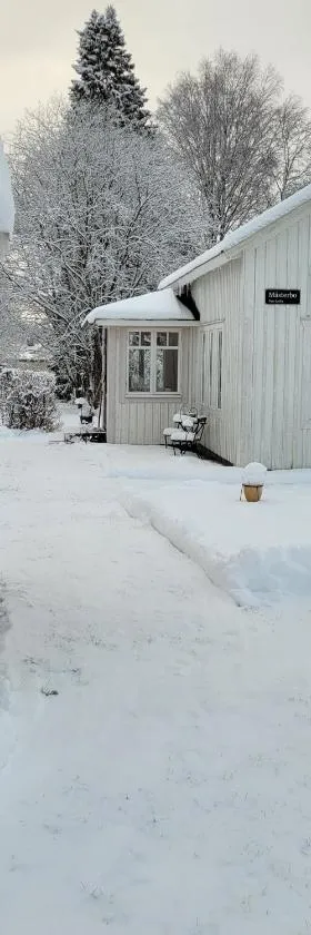 Loftstuga i Säfsen，位于腓特烈斯贝的酒店