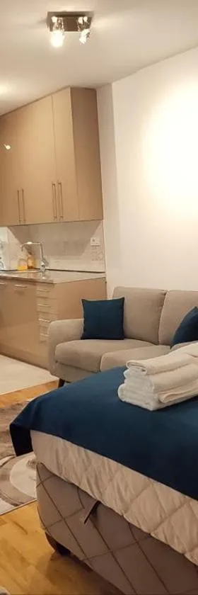 Green Residence，位于Palilula的酒店