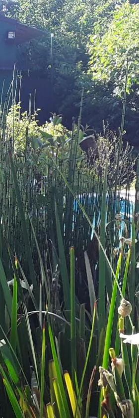 Loft Verde que te quiero Verde，位于默西迪丝的酒店