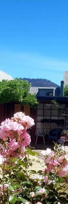 Red Brier Cottage Accommodation，位于里士满的酒店