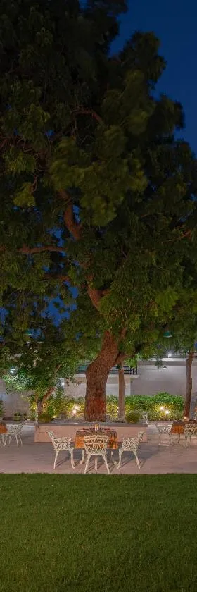 Tree of Life Darbargadh Dared，位于巴夫那加尔的酒店
