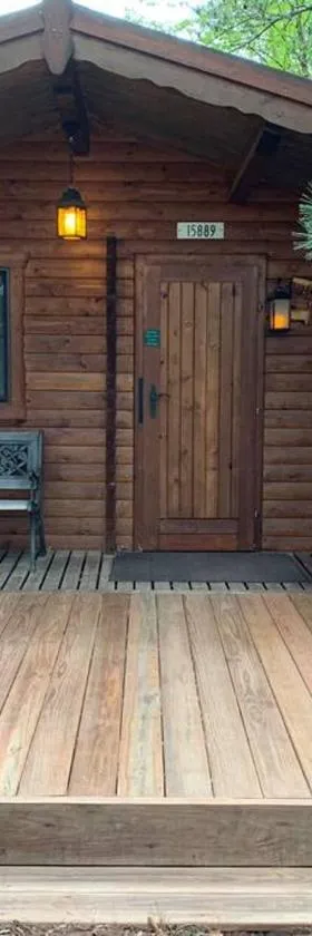 Honeybear Hideaway Cabin，位于海沃德的酒店