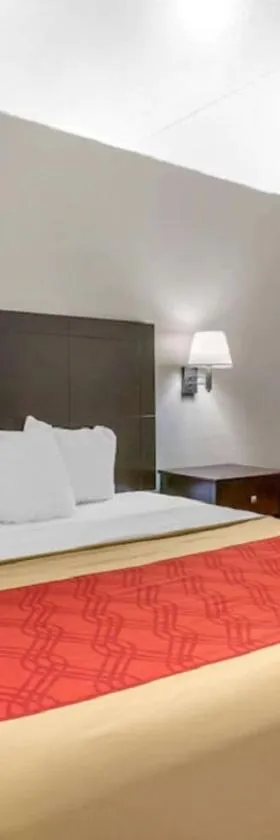 King's Inn Motel，位于雷丁的酒店