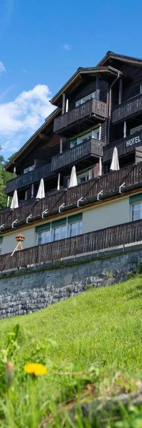 Hotel Tödiblick，位于布劳瓦尔德的酒店